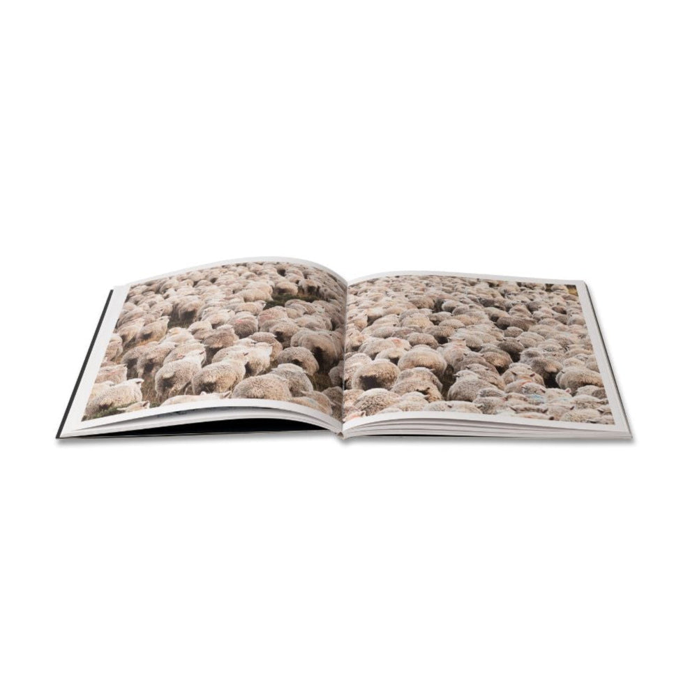 Libro Patagonia 2.0
